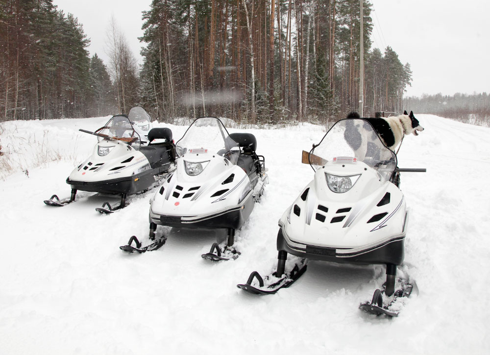 СНЕГОХОД РМ ТАЙГА ВАРЯГ 550 V в Саранске