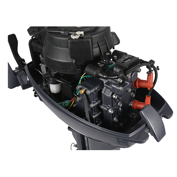 ЛОДОЧНЫЙ МОТОР ALLFA CG Т9,9 в Саранске