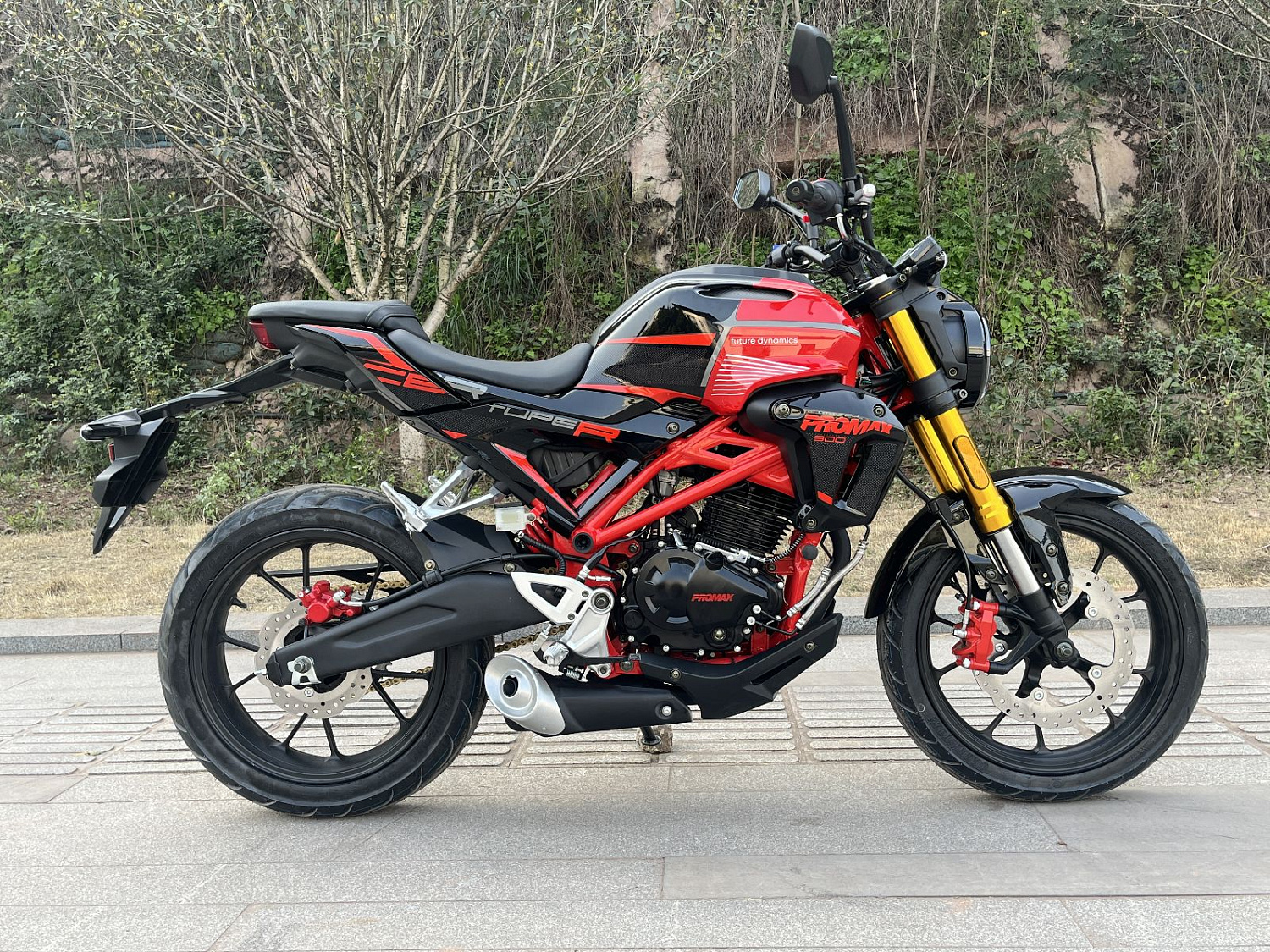 Мотоцикл PROMAX CB300 в Саранске