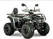 Квадроцикл YACOTA DRAGON LUX LD 150 PRO-SPORT в Саранске