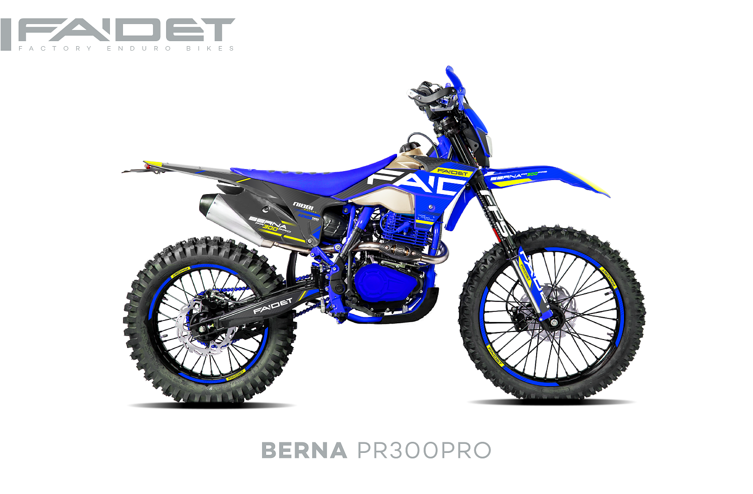 Кроссовый мотоцикл FAIDET BERNA PR300-PRO FPS в Саранске