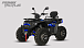 Квадроцикл PROMAX TAURUS 300 MAX-PRO LONG в Саранске
