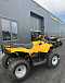 КВАДРОЦИКЛ IRBIS ATV 250  в Саранске