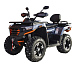 Квадроцикл MOTOLAND (МОТОЛЕНД) 300 MAX X в Саранске