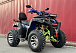 Квадроцикл PROMAX ATV 250 MAX (2025) в Саранске