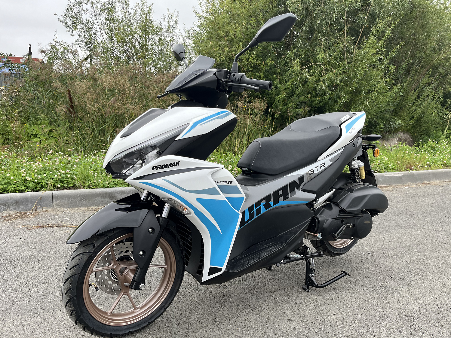 Скутер PROMAX TURAN 250 (49) в Саранске