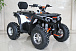 Квадроцикл GBM STORMRIDER 320 PREMIUM в Саранске