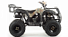 Квадроцикл MOTOLAND (МОТОЛЕНД) 200 ALL ROAD в Саранске