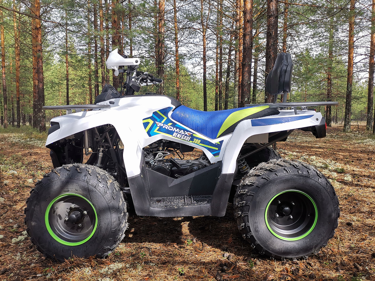 Квадроцикл PROMAX RENEGADE 280 (2025) в Саранске