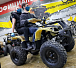 Квадроцикл PROMAX ATV 250 (2025) в Саранске