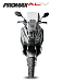 МаксиСкутер PROMAX-HONDA ADV 150 (49) (Inspired by HONDA) в Саранске