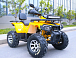 Квадроцикл MOTOLAND (МОТОЛЕНД) VOX200 WILD TRACK X PRO (баланс. вал) в Саранске