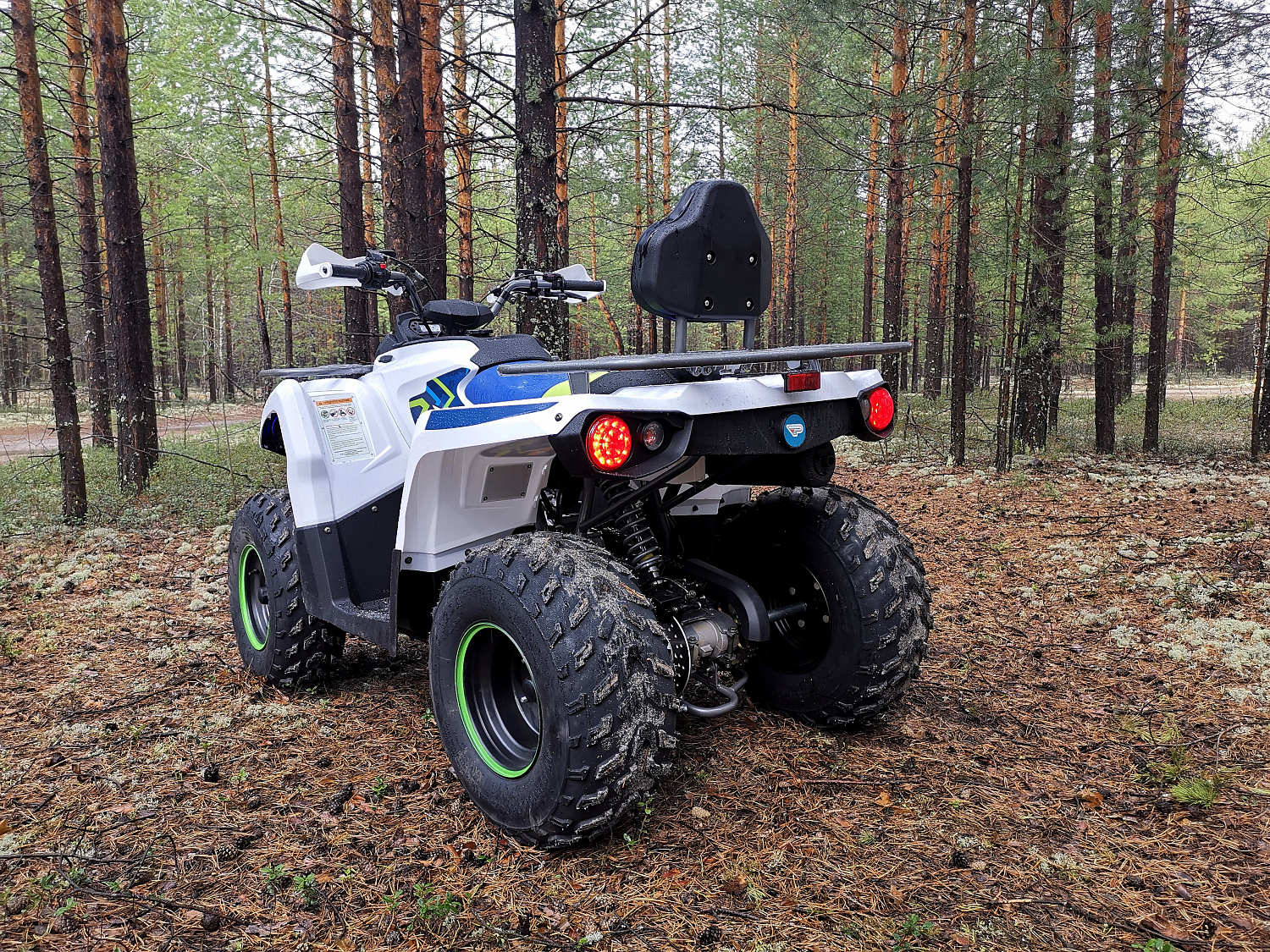 Квадроцикл PROMAX RENEGADE 280 (2025) в Саранске
