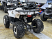Квадроцикл PROMAX WILD 2.0 190 LUX в Саранске