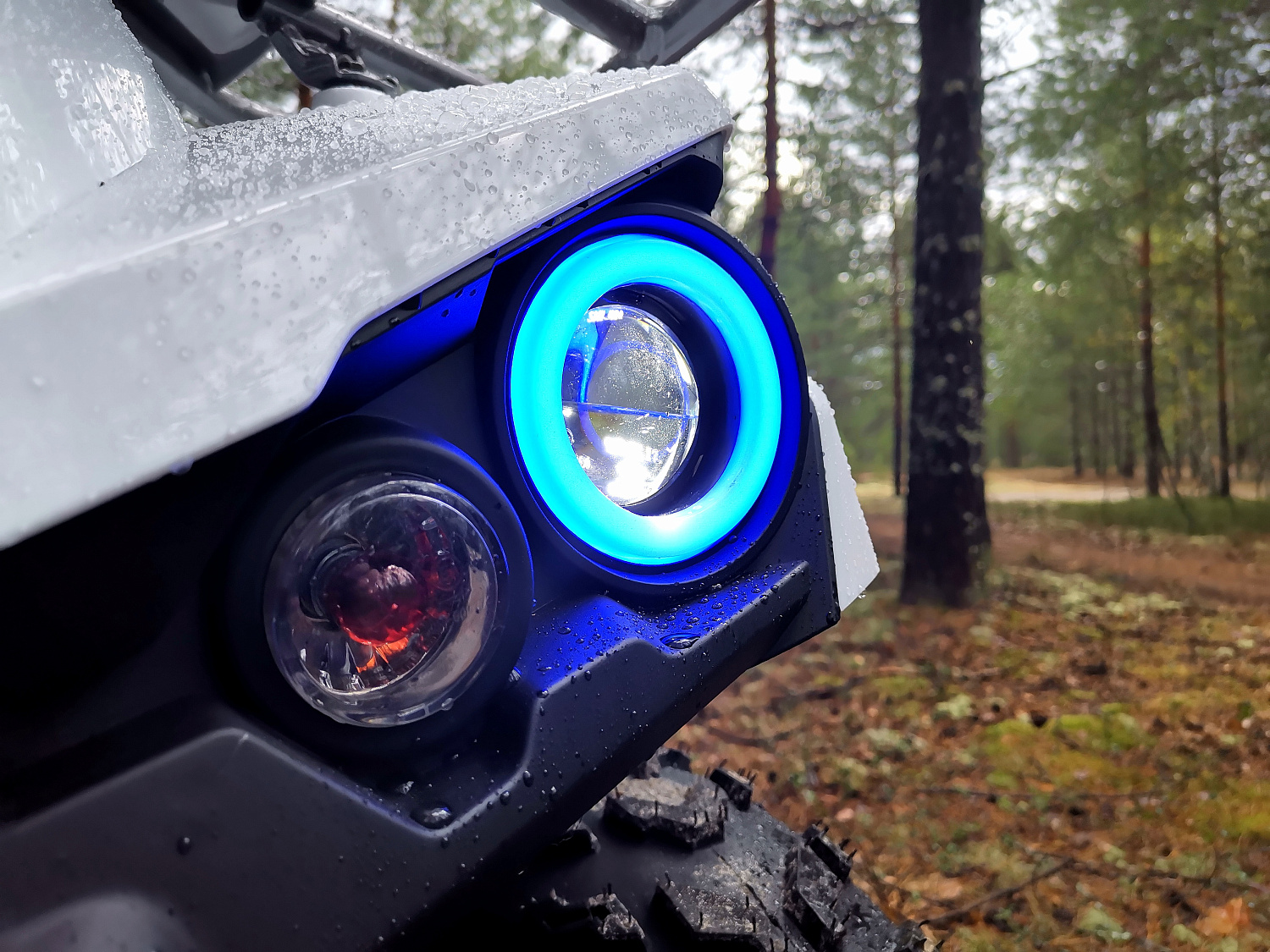 Квадроцикл PROMAX RENEGADE 280 (2025) в Саранске