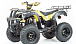 Квадроцикл MOTOLAND (МОТОЛЕНД) 250 ADVENTURE в Саранске
