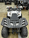Квадроцикл PROMAX WILD 2.0 190 в Саранске