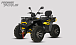 Квадроцикл PROMAX TAURUS 300 MAX-PRO LONG в Саранске